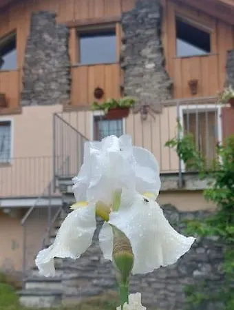 Valle D'aosta A 360° - Ideal For Smart Working * Aymavilles