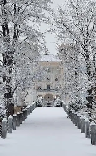 Vakantiehuis Valle D'aosta A 360° - Ideal For Smart Working Aymavilles