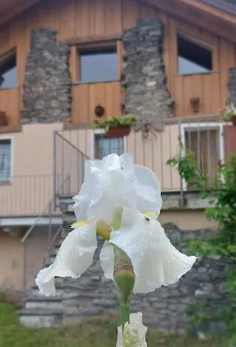 Valle D'aosta A 360° - Ideal For Smart Working * Aymavilles